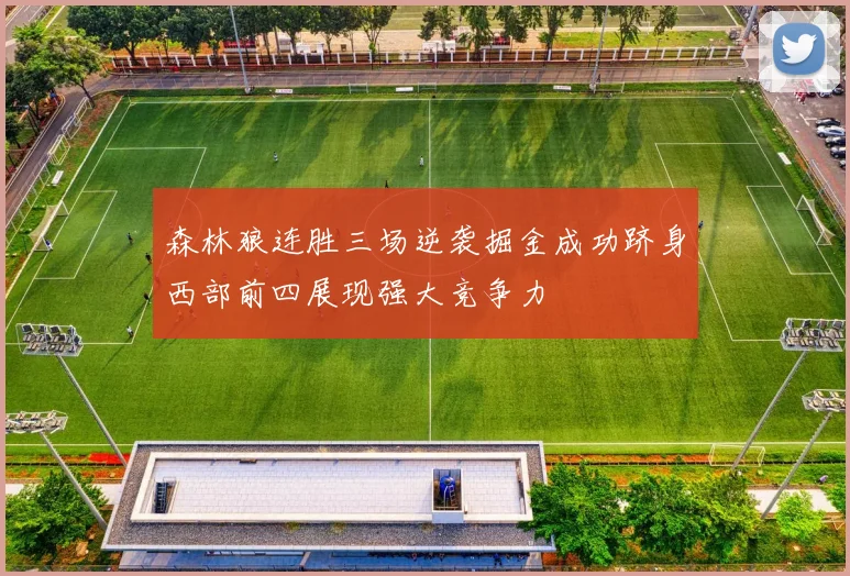 森林狼连胜三场逆袭掘金成功跻身西部前四展现强大竞争力
