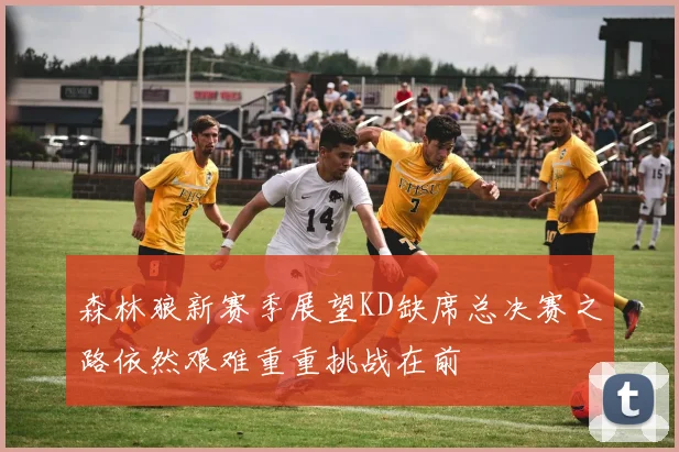 森林狼新赛季展望KD缺席总决赛之路依然艰难重重挑战在前