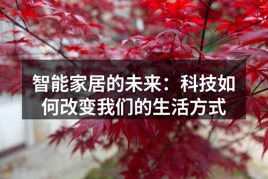 智能家居的未来：科技如何改变我们的生活方式